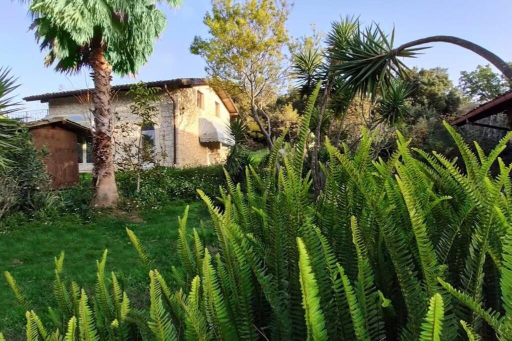 Holiday home Neli, Palazzolo Acreide, Siracusa, Hot Tub, Wi-fi & Parking Palazzolo Acreide